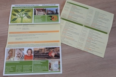 Programmflyer